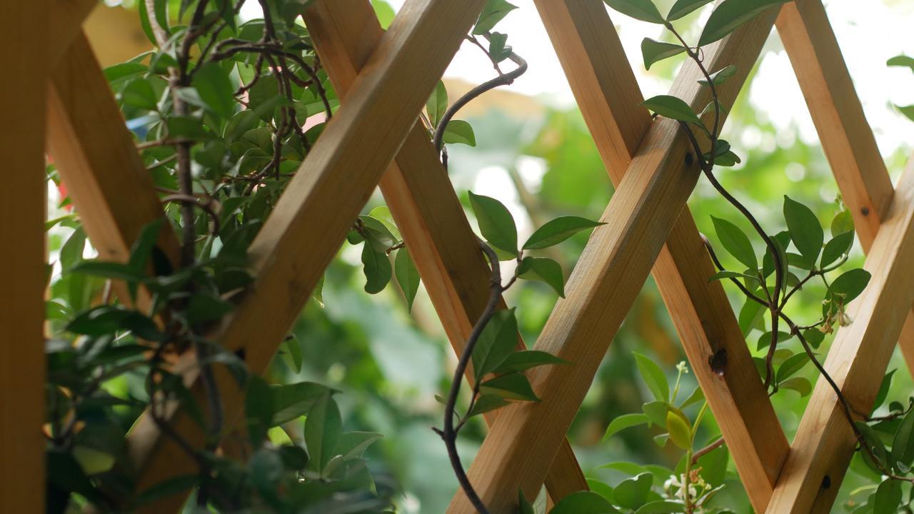 My Garden Tbilisi Exterior foto