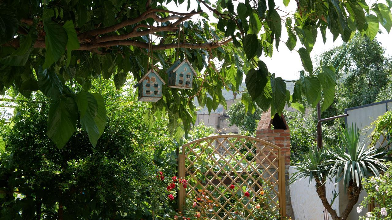 My Garden Tbilisi Exterior foto