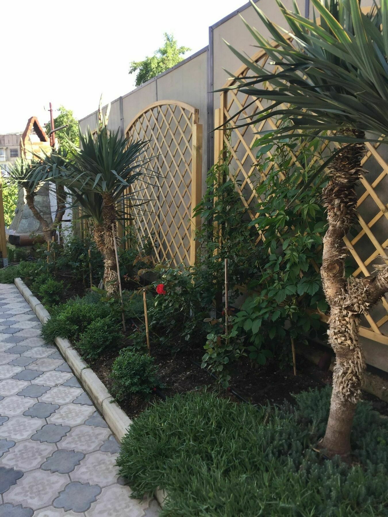 My Garden Tbilisi Exterior foto