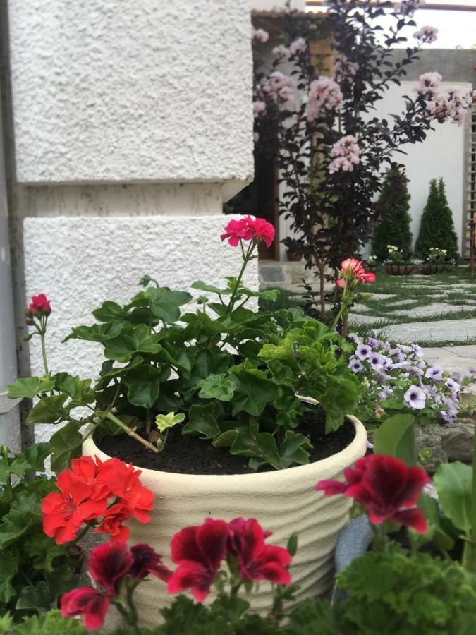 My Garden Tbilisi Exterior foto