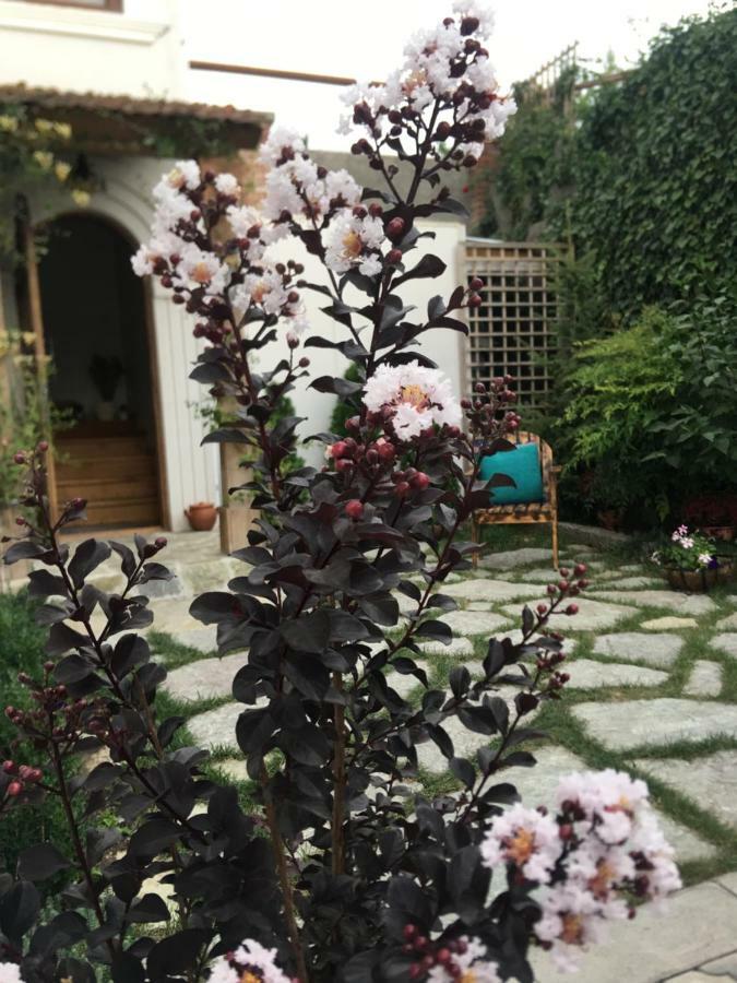 My Garden Tbilisi Exterior foto